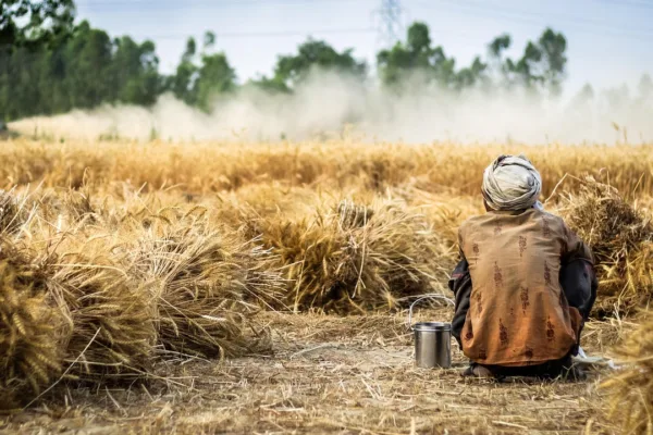 APEDA Extends Deadline for Organic Farmer Verification to July 3