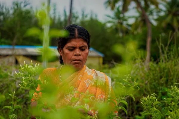 Andhra Pradesh Implements 60-Day Ban on Toxic Weedicide Paraquat