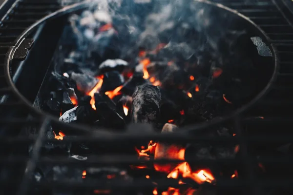 Barbecue Costs Surge as Summer Season Begins