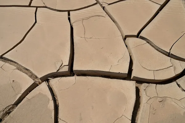 Below-Normal Monsoon Forecast Threatens India's Economic Growth and Inflation Stability
