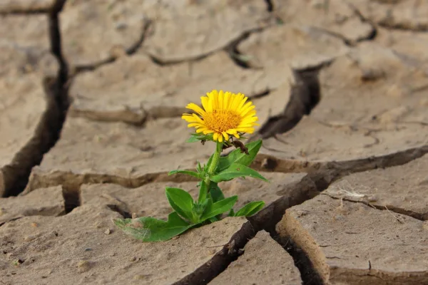 Beyond Talent and Timing: The Unseen Trait Defining Founder Success