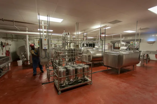 Dodla Dairy Reports Mixed Q4 Results Amid Rising Operational Costs