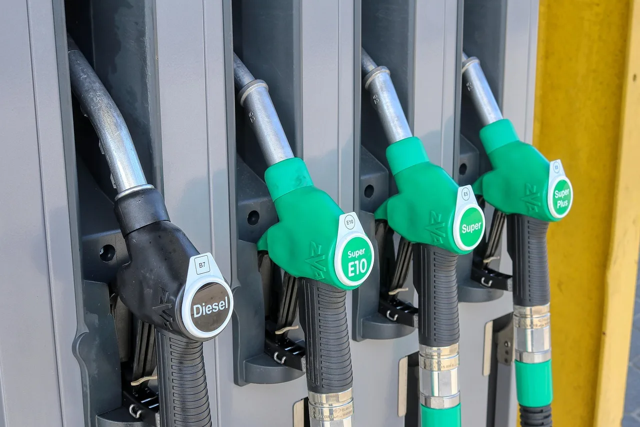 Economic Resilience Amid Escalating Energy Costs and Geopolitical Instability