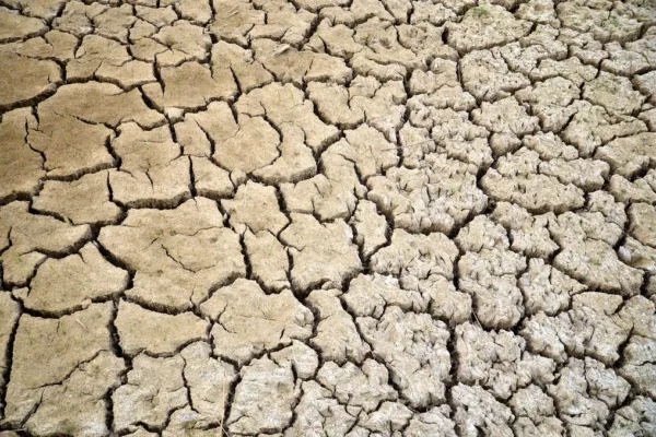 El Niño Expected to Persist Until 2027, Raising Concerns for Global Agriculture