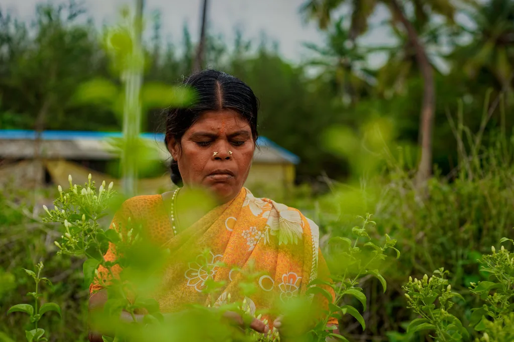 Fertiliser Production Crisis: India Faces Supply Chain Hurdles Amid Middle East Conflict