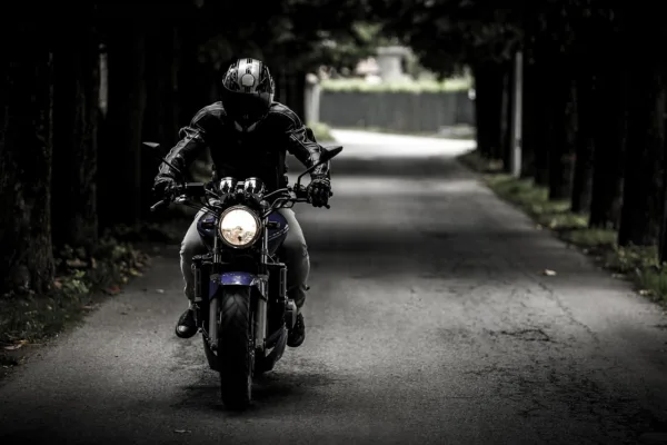From Niche Startup to Logistics Giant: The Meteoric Rise of Blinkit