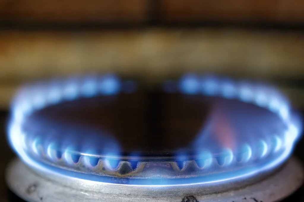 Government Defends LPG Price Hike as Petrol and Diesel Remain Stable