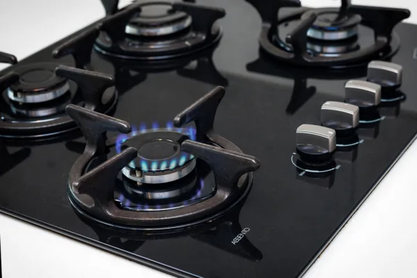 Government Launches Audit of Households with Dual LPG and PNG Connections