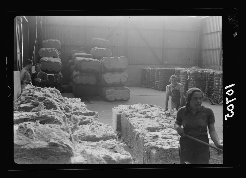Government Scraps Cotton Import Duty Amid Global Trade Pressures