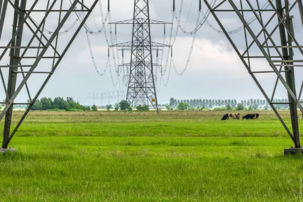 HG Infra Engineering Secures Major Jharkhand Power Transmission Contract