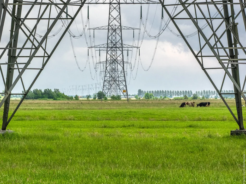 HG Infra Engineering Secures Major Jharkhand Power Transmission Contract