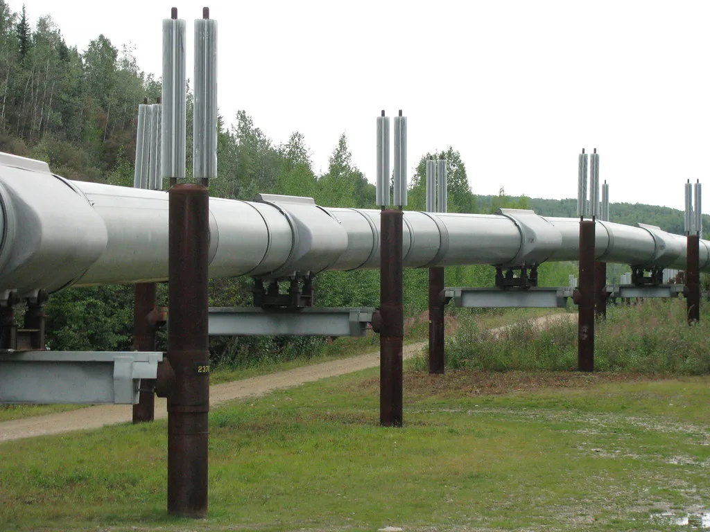 India Imposes First-Ever Petrol Export Tax Amid Global Oil Market Volatility