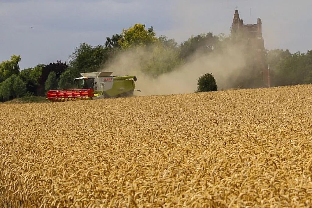 India Projects Record Foodgrain Output of 376.56 Million Tonnes for 2025-26