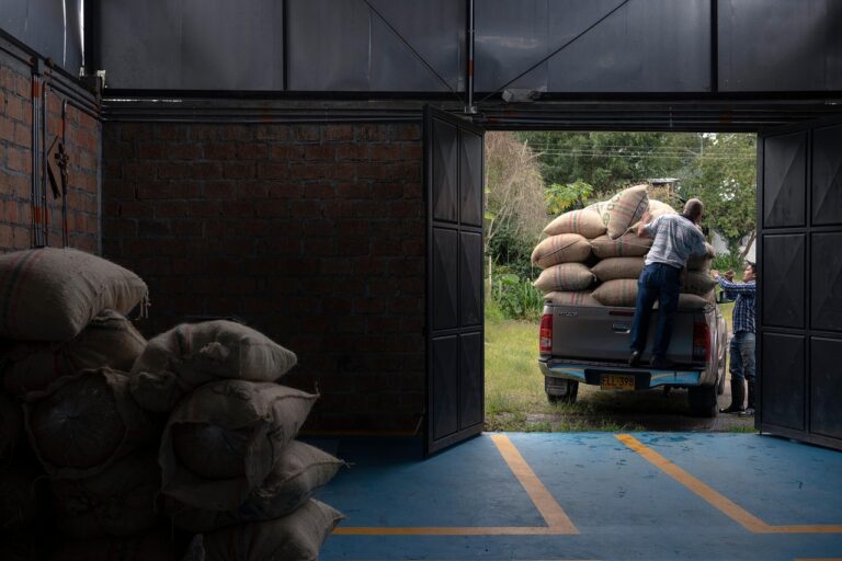 India’s Rice Surplus Triggers Strategic Rethink on Grain Management