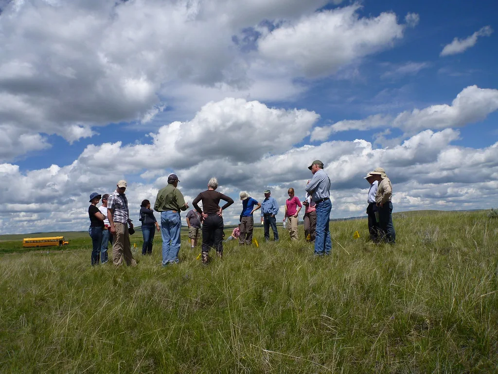 Keystone XL Resurgence and Canada's Evolving Energy Landscape