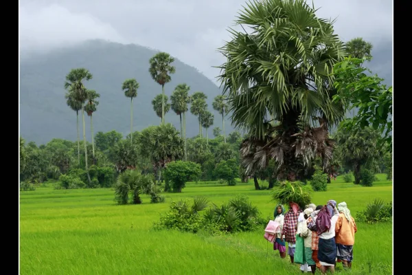 Monsoon 2026: IMD Predicts Early Arrival in Kerala