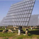 NTPC Warns Against Supply Chain Risks in India's Ambitious 100 GW Nuclear Expansion