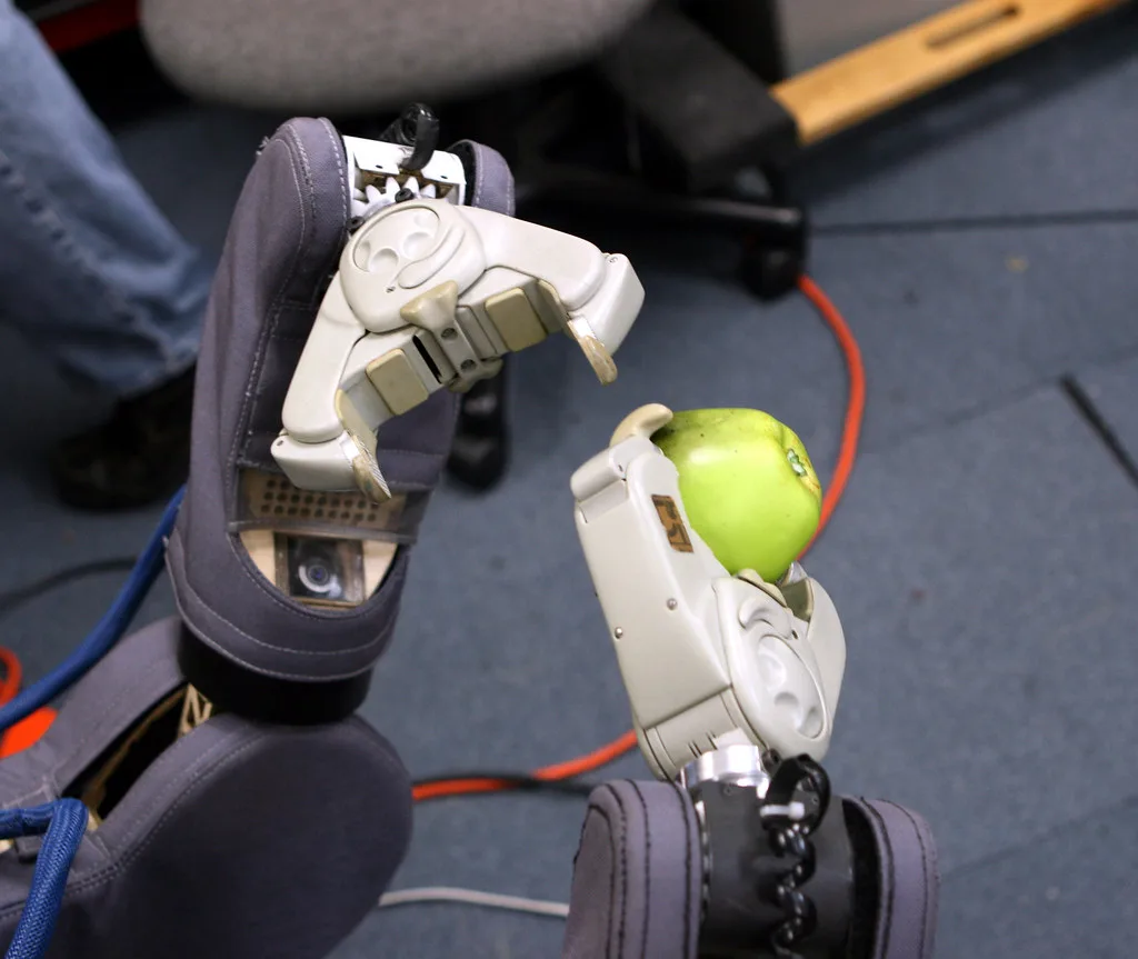 Nightfood Holdings Inc. Expands Strategic Visibility in AI-Driven Robotics Sector
