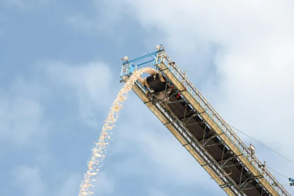 Paradeep Phosphates Reports Mixed Q4: Operational Gains Offset by Profit Decline, Dividend Announced
