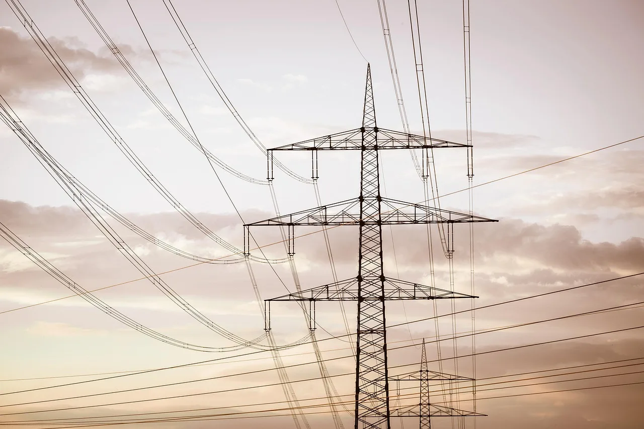 Power Grid Corporation Reports 9.7% Profit Growth in Q4 FY26 Amid Revenue Headwinds
