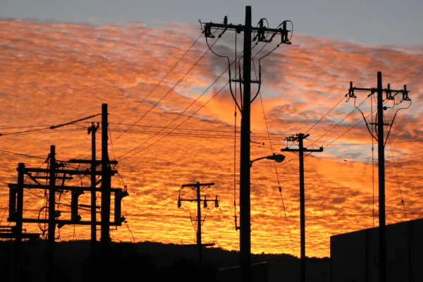 Power Grid Corporation Reports Mixed Q4 Results Amid Strategic Capital Expansion