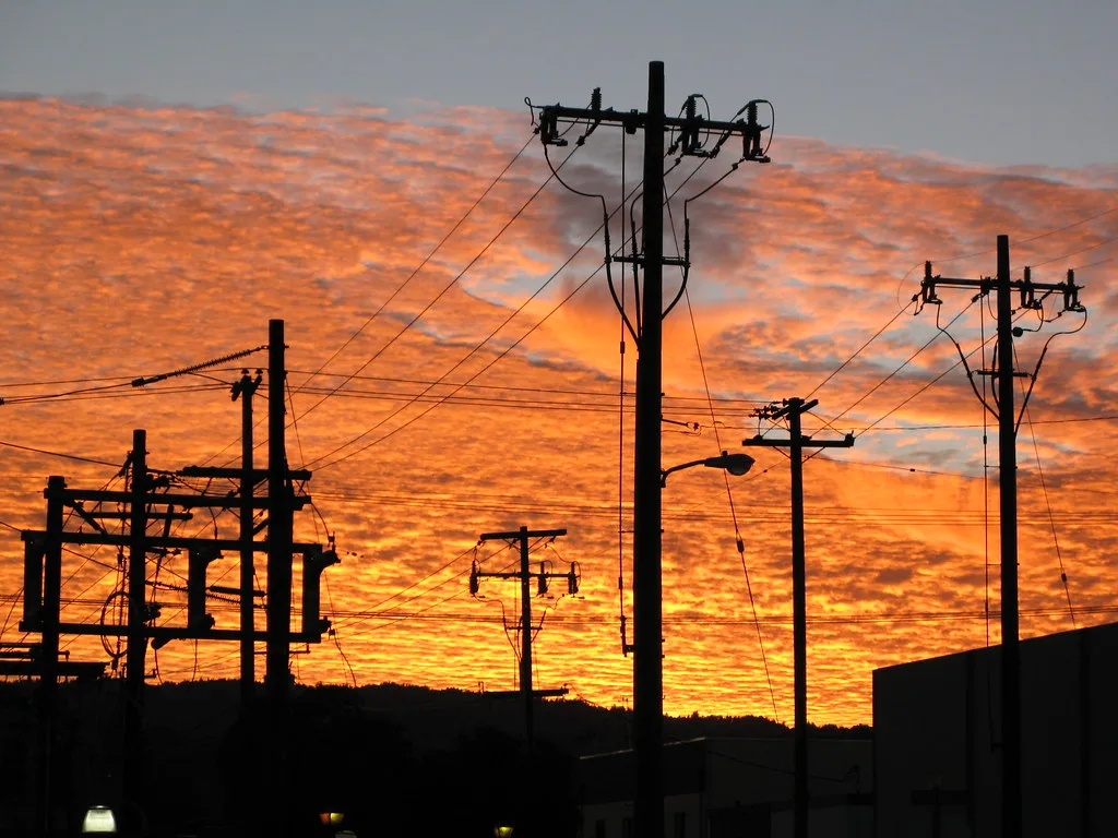 Power Grid Corporation Reports Mixed Q4 Results Amid Strategic Capital Expansion