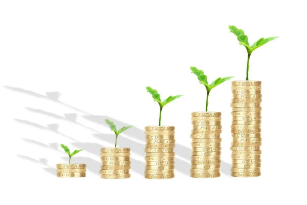 RBI Holds Repo Rate Steady, Projects Moderated GDP Growth for FY27