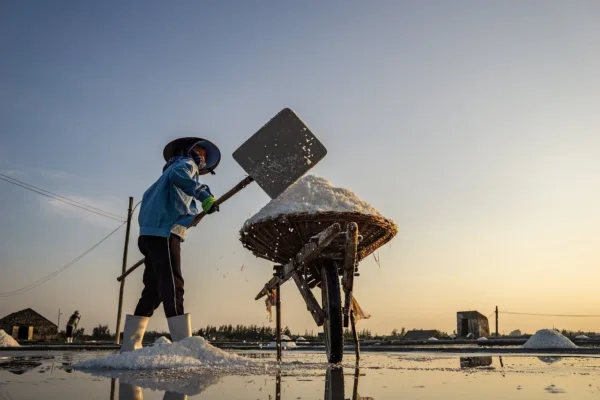 SQM Boosts Lithium Guidance as Earnings Top Estimates