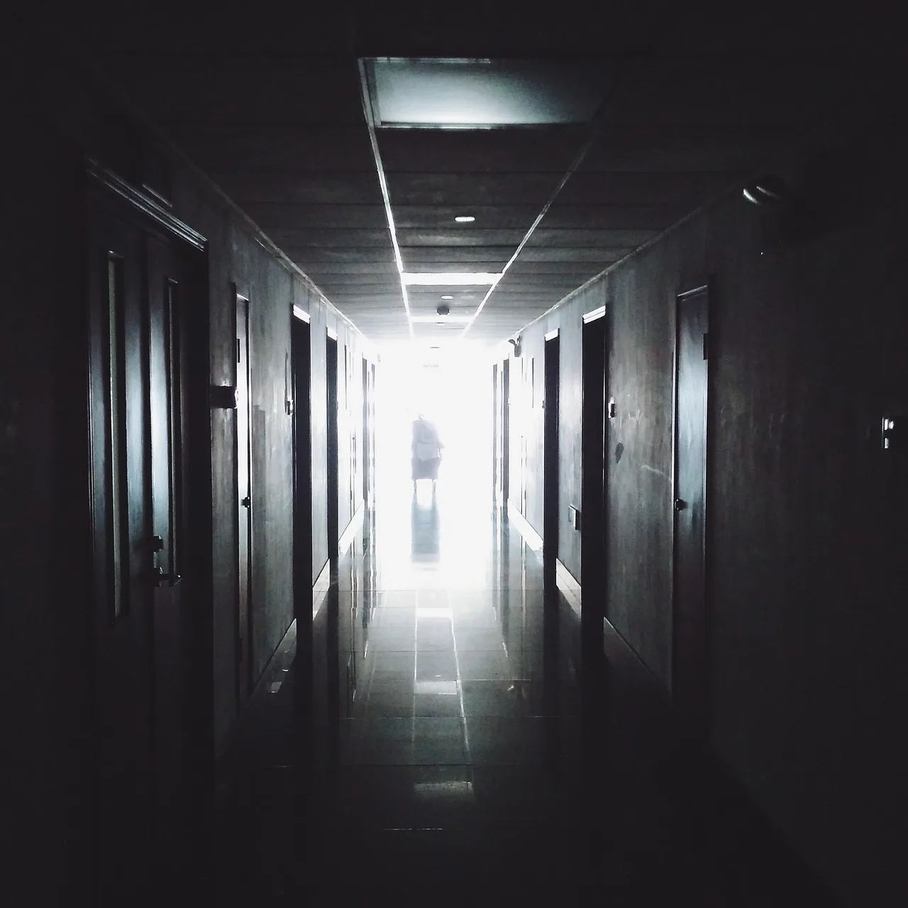 State Regulators Challenge Private Equity Influence in Healthcare