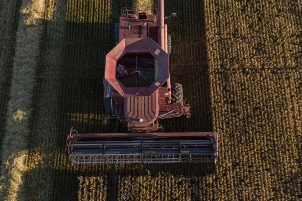 Syngenta Unveils Voice-Enabled AI Chatbot to Transform Agricultural Advisory Services