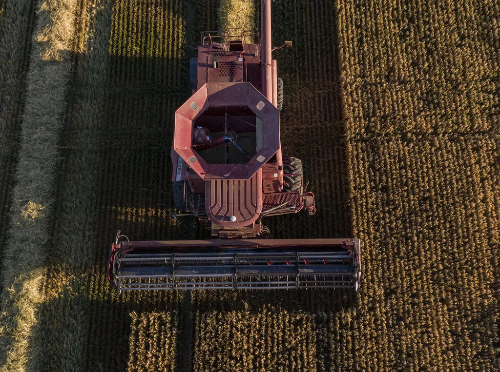 Syngenta Unveils Voice-Enabled AI Chatbot to Transform Agricultural Advisory Services