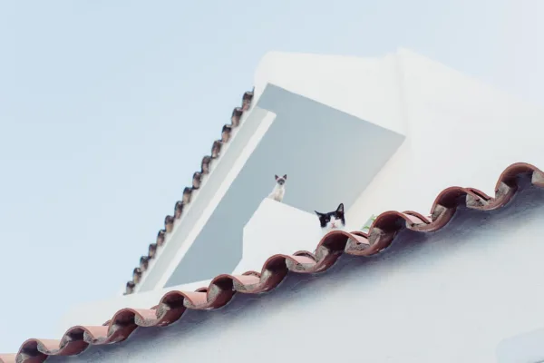 The Growing Anxiety Over AI, Jobs and the Future