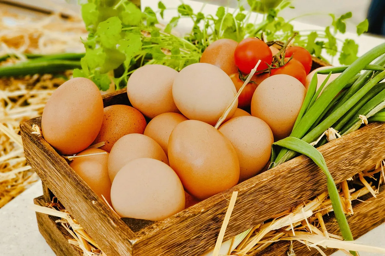 The Price of Produce: Why Tomato Costs Have Skyrocketed 40% in One Year