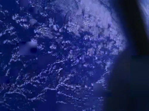 The dream is truly planetary intelligence: How Pixxel is building an orbital data network