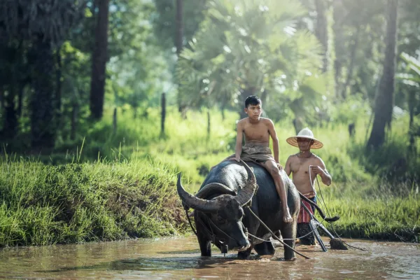 WOTR Expands Community-Led Groundwater Management Across 183 Villages