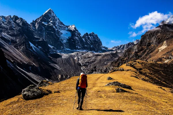 Blue Jay Gold Unveils Fully Funded Steller Project Exploration Strategy