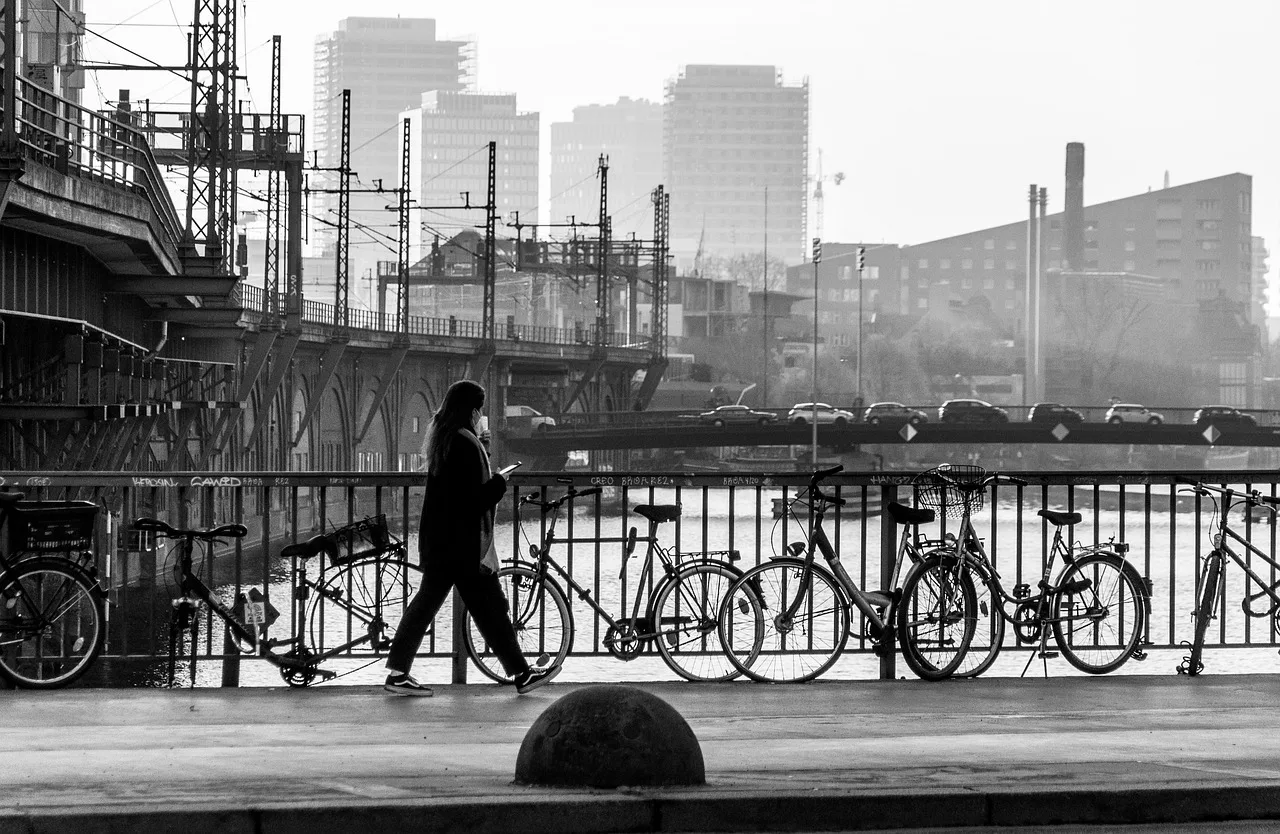 Bridging the Gap: Expert Strategies to Address Rising Income Inequality