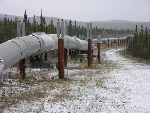 Cenovus Energy Criticizes Canadian Pipeline Carbon Policy as Economically Unviable