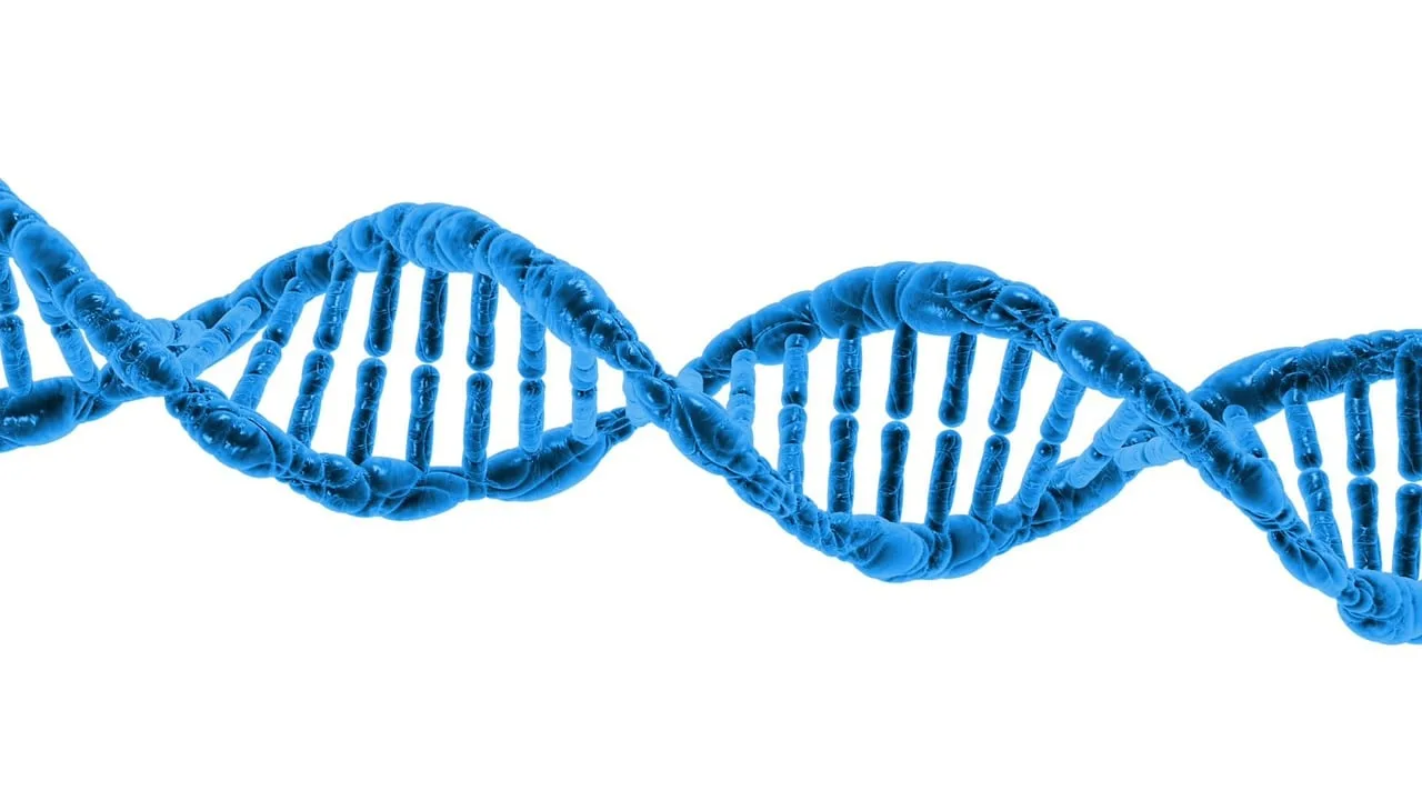 Genetic Scores are Booming. But Will Anti-Discrimination Laws Cover Your DNA?
