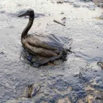 Global Oil Markets Surge as Strait of Hormuz Closure Triggers Supply Fears