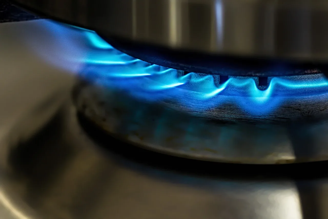 Government Defends LPG Price Hike as Petrol and Diesel Rates Remain Steady