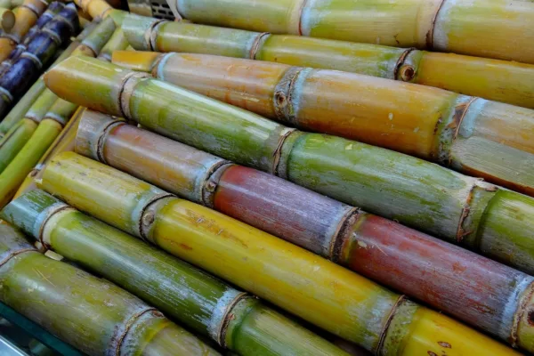 Indian Sugar Industry Pushes for Dual Pricing Model to Offset Industrial Consumption