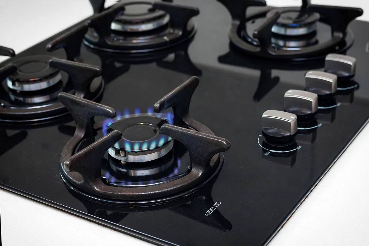 LPG Price Surge Sparks Economic Debate as Global Pressures Mount