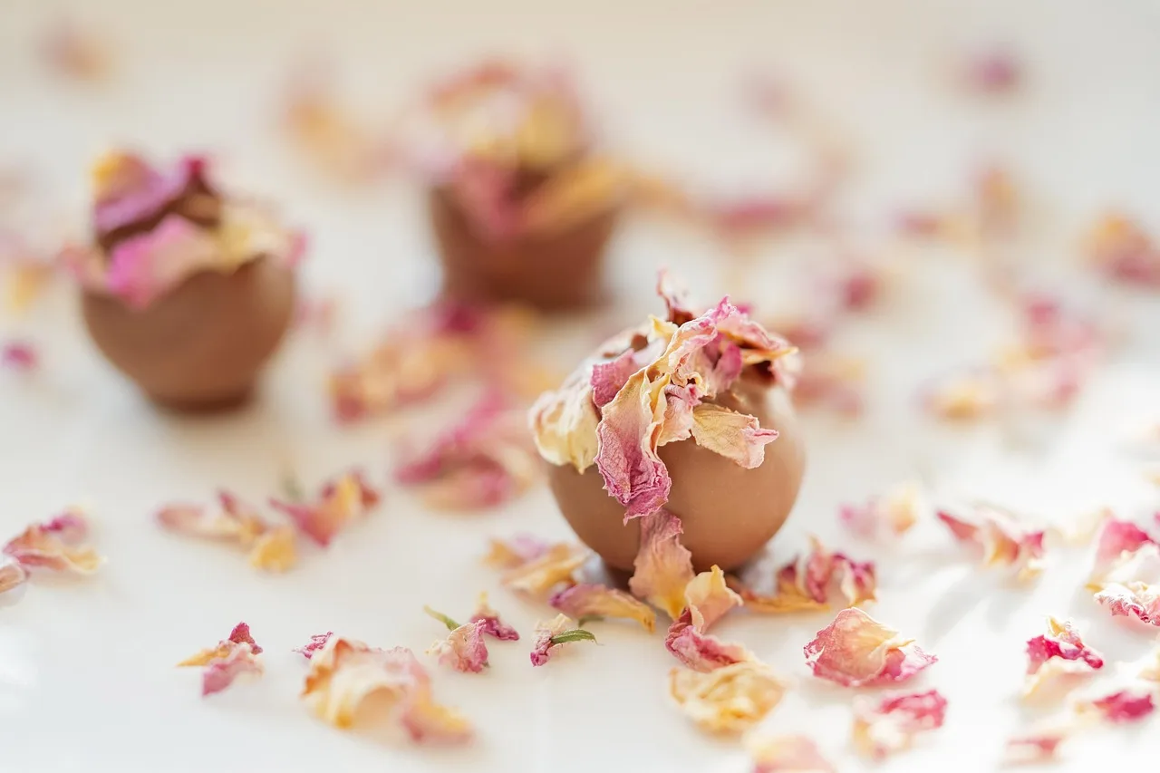 Manam Chocolate Secures $9 Million to Fuel Premium Expansion