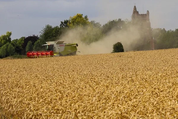 Mexico Signals Potential Trade Retaliation Targeting US Corn Exports