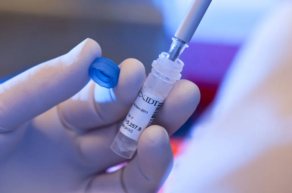 MindWalk's Computational Breakthrough Advances Universal Dengue Vaccine Development