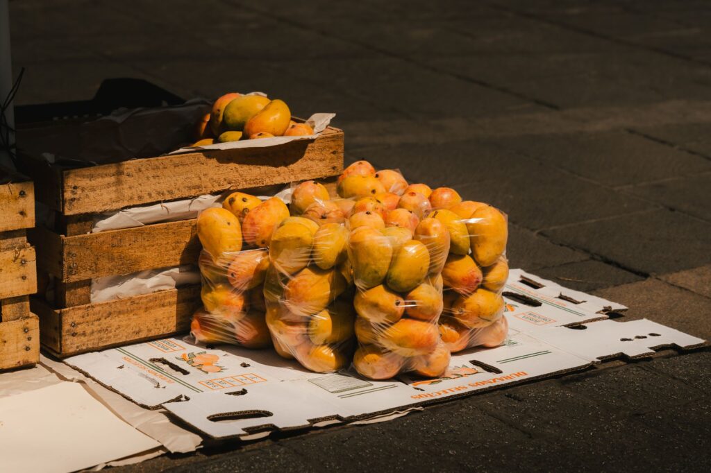 Revolutionizing Logistics: How India Slashed Mango Export Costs via Sea Freight