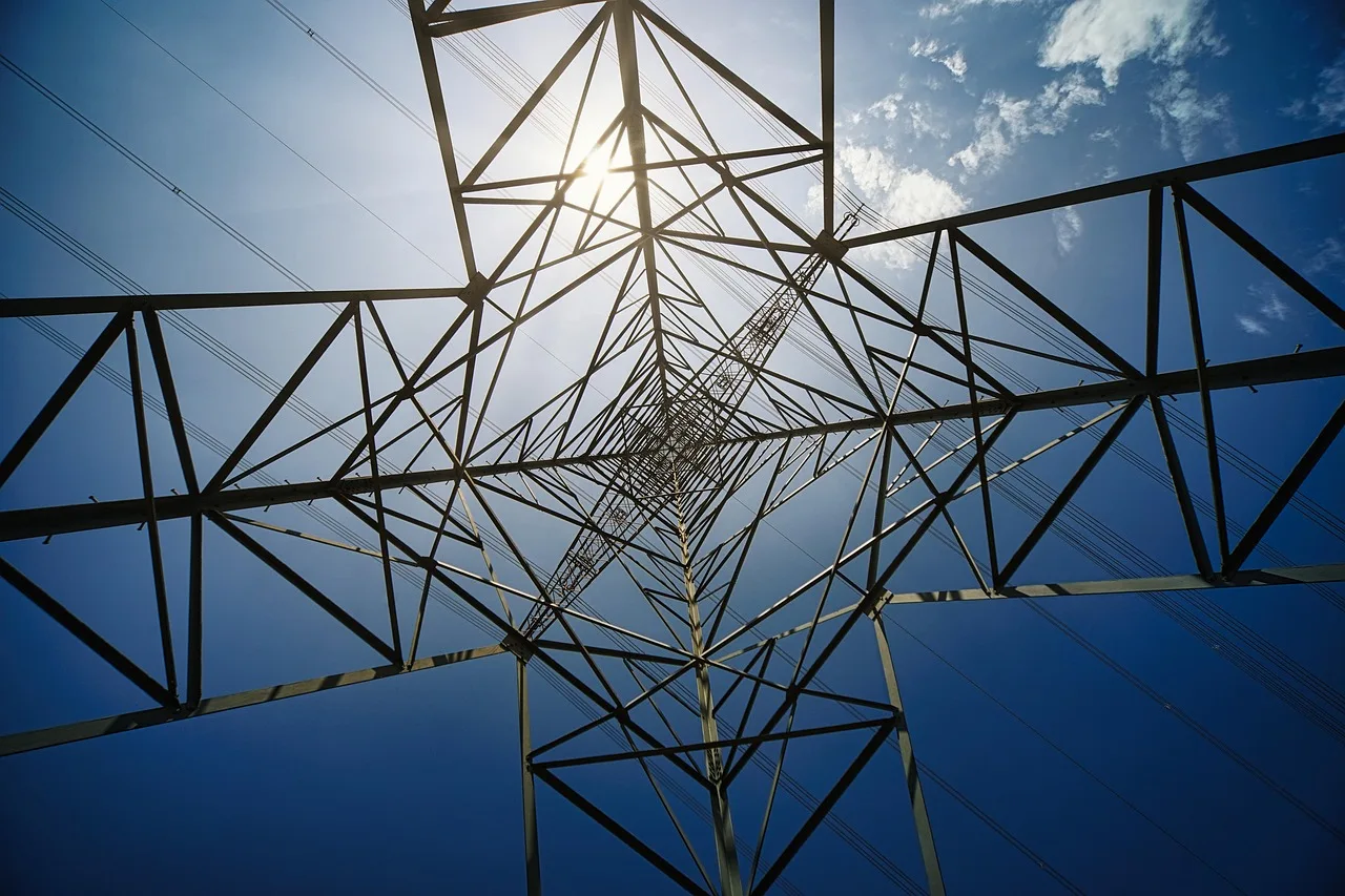 Tamil Nadu Power Distribution Corporation Executes Landmark Mass Promotion Drive