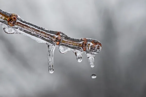 The Crypto Winter Turns Colder as Bitcoin Extends Its Slide