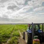 The Growing Reliance on the H-2A Visa Program in American Agriculture